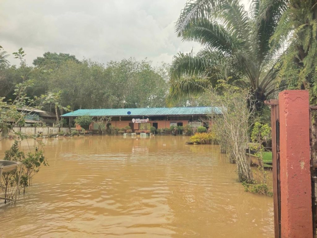 413961606_685826870393791_6995090748185083954_n