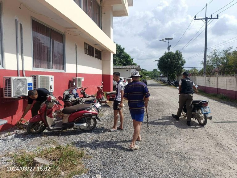 433432324_737580488551762_8421699851860994593_n