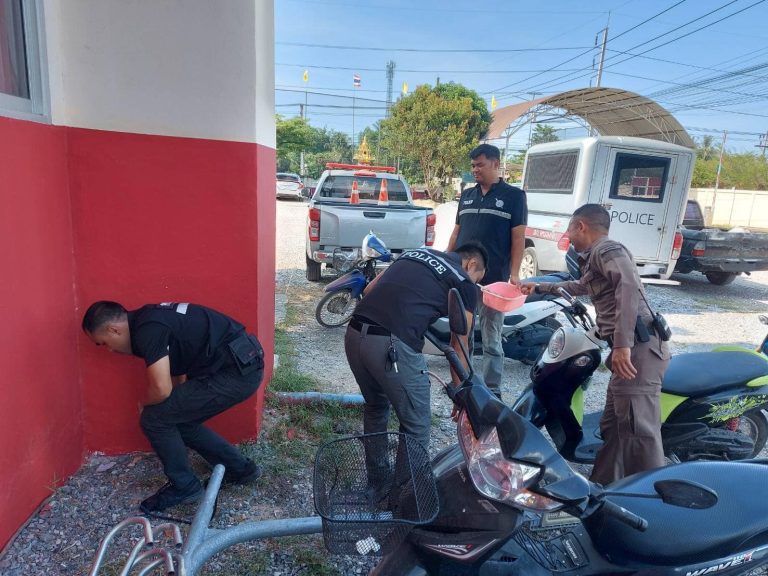 439417243_754925670150577_2836896189614162381_n