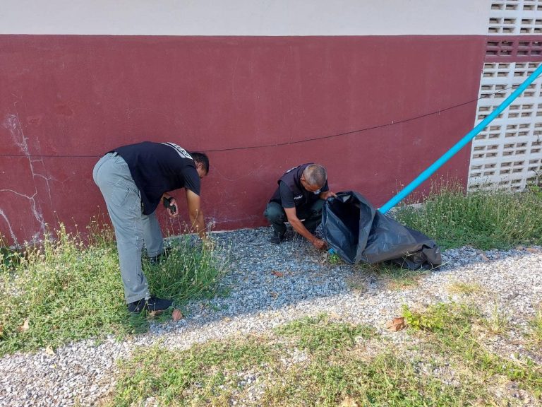 439593238_754925653483912_5194331309556169941_n