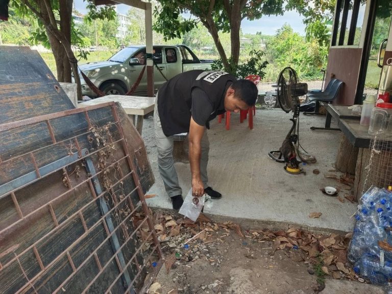 440867533_754925740150570_8097520344317039663_n