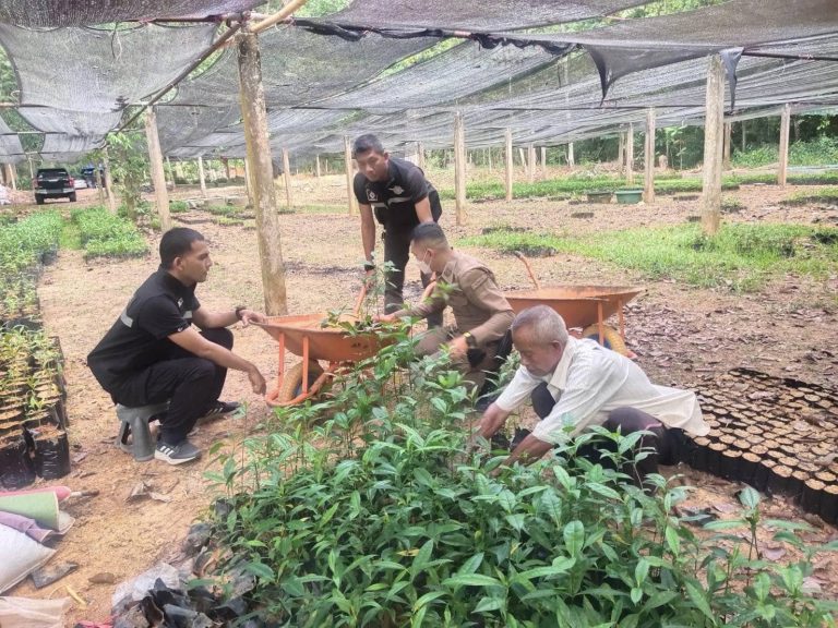 441364086_765171959125948_2173618270825600468_n