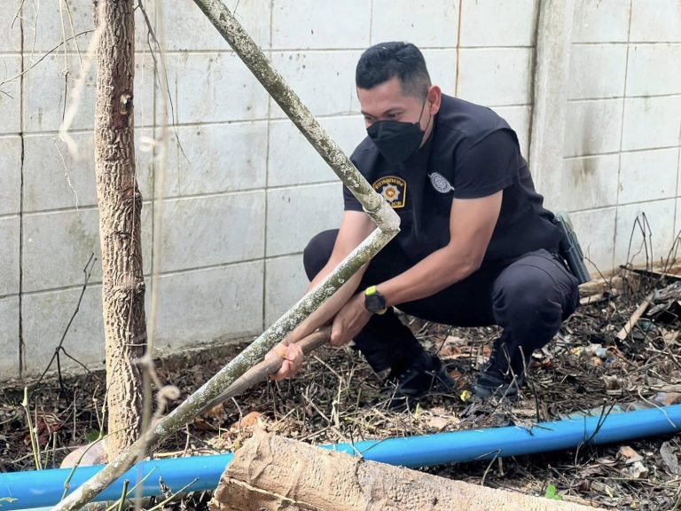 441543473_771466341829843_7994316979222355936_n