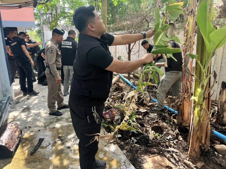 442477967_771466238496520_1106892712176050227_n