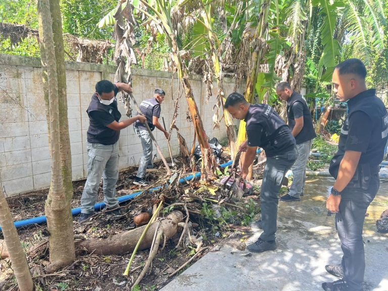 442494744_771466141829863_8876464514976590304_n