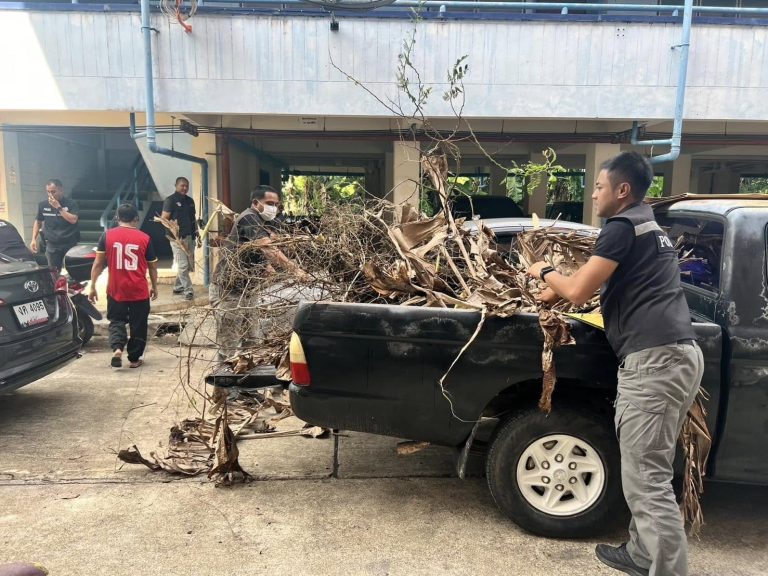 442498832_771465698496574_3107839886125188755_n