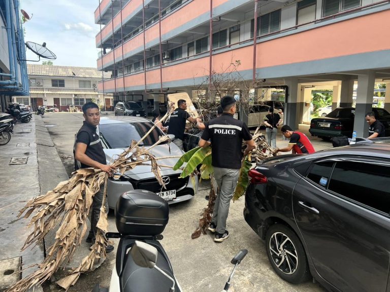 444763509_771466301829847_4282456677197704251_n