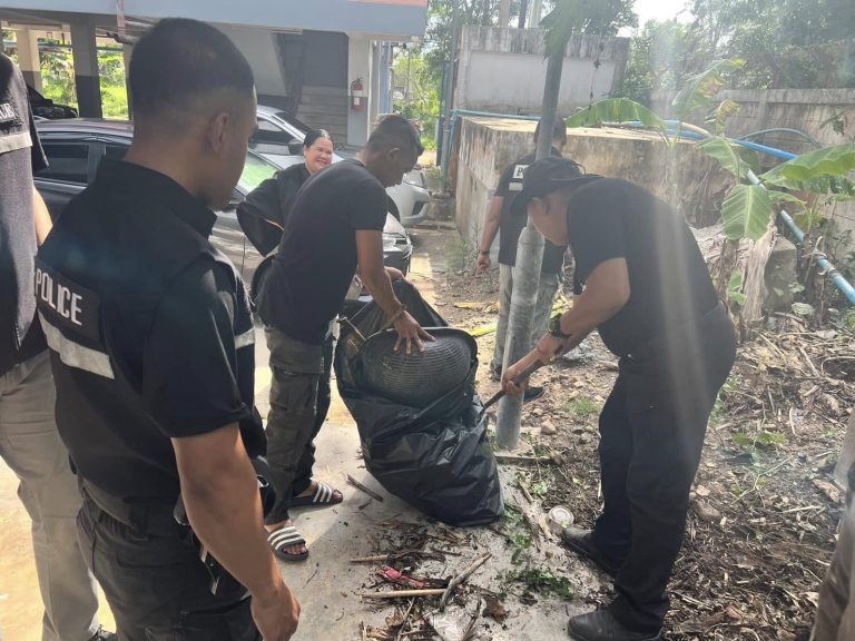 445427955_771466348496509_5130229103942520931_n