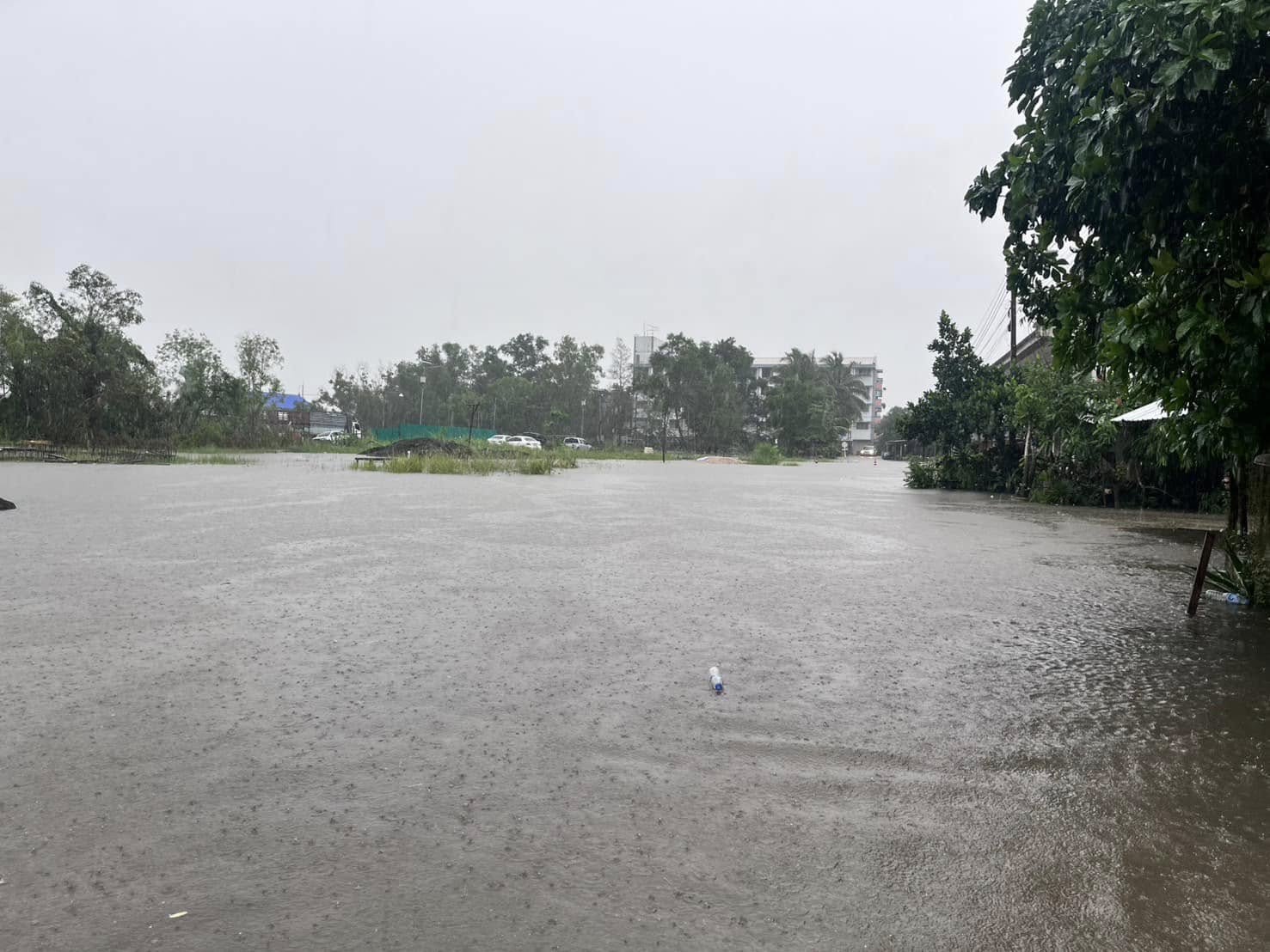 480874588_955089663467509_4243552087105818907_n