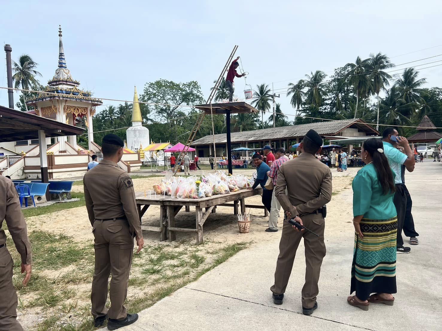 481028355_954512283525247_2682458799655652142_n