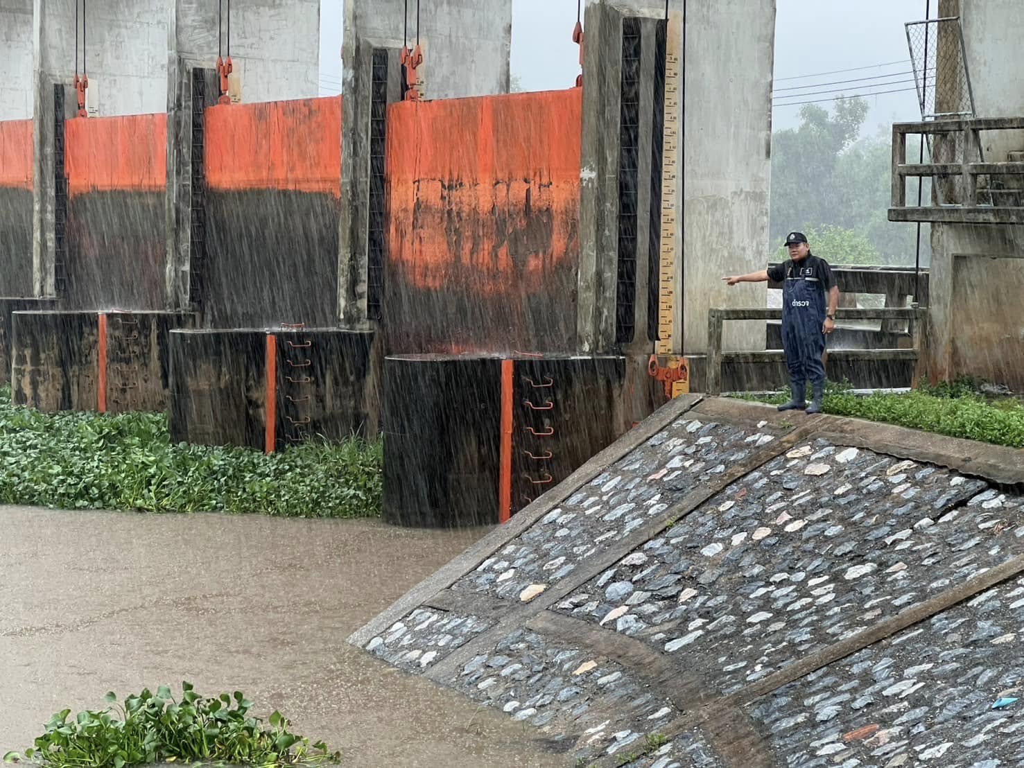 481203937_955084876801321_7882057217419101606_n