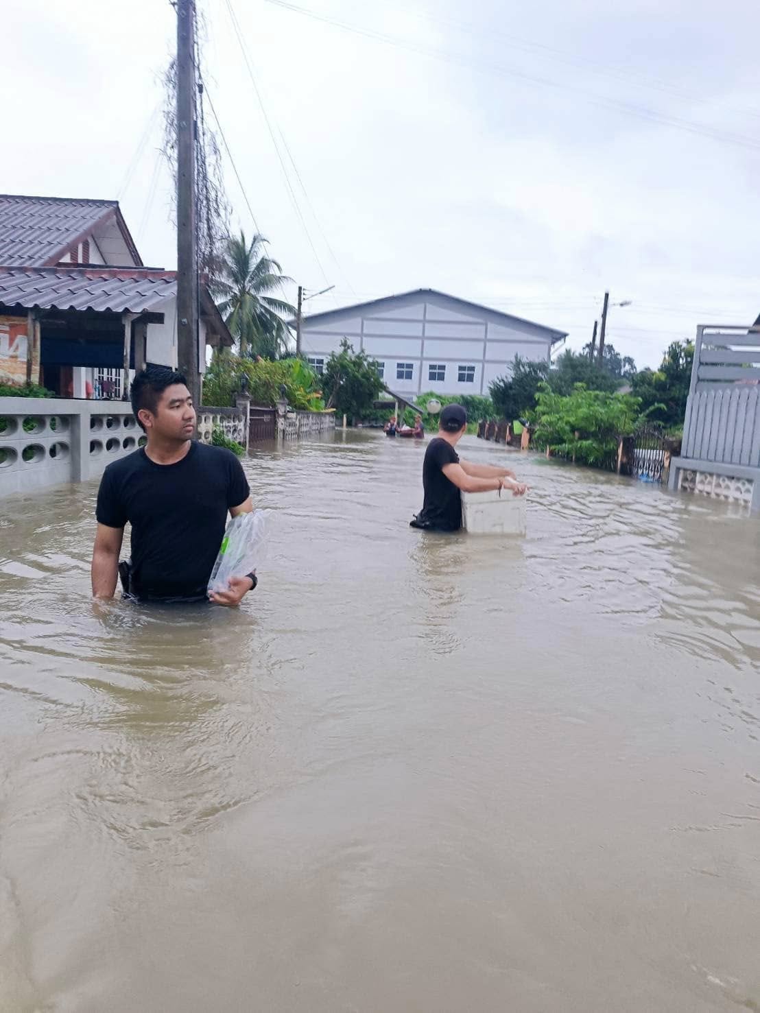 481244900_955097716800037_7443901024862247405_n