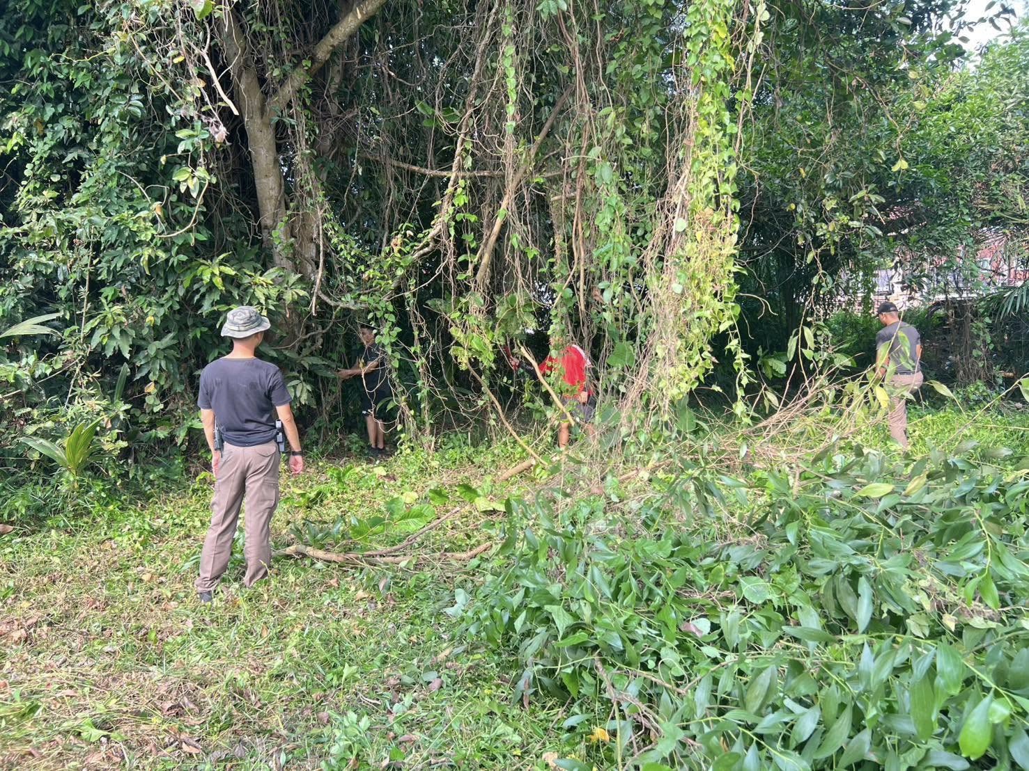 485063588_970150925294716_8822245644569552787_n