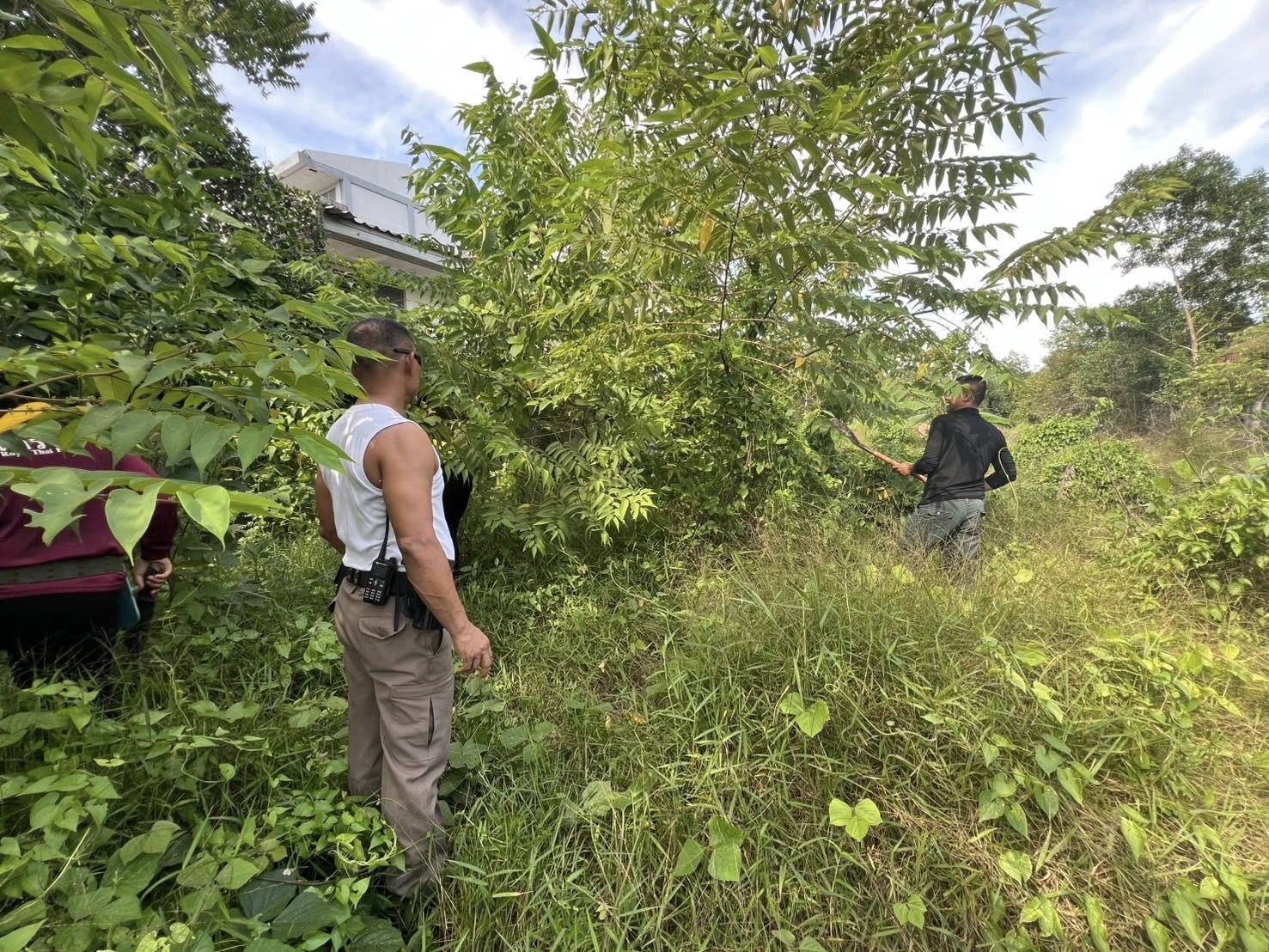 494621208_1002509088725566_8686043003371658831_n