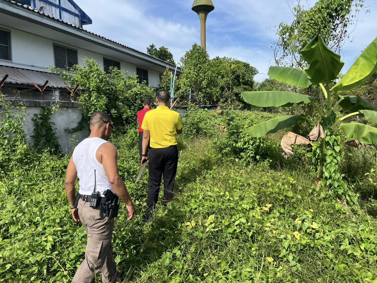 494785142_1002508788725596_1685779582798913285_n