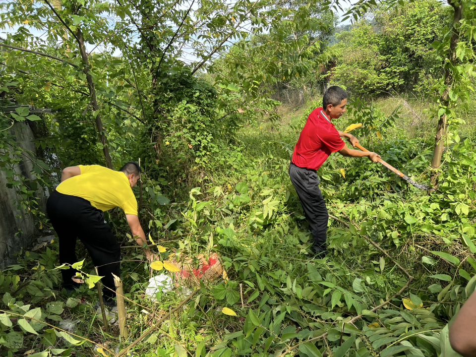 495318562_1002508272058981_6630075469898432730_n