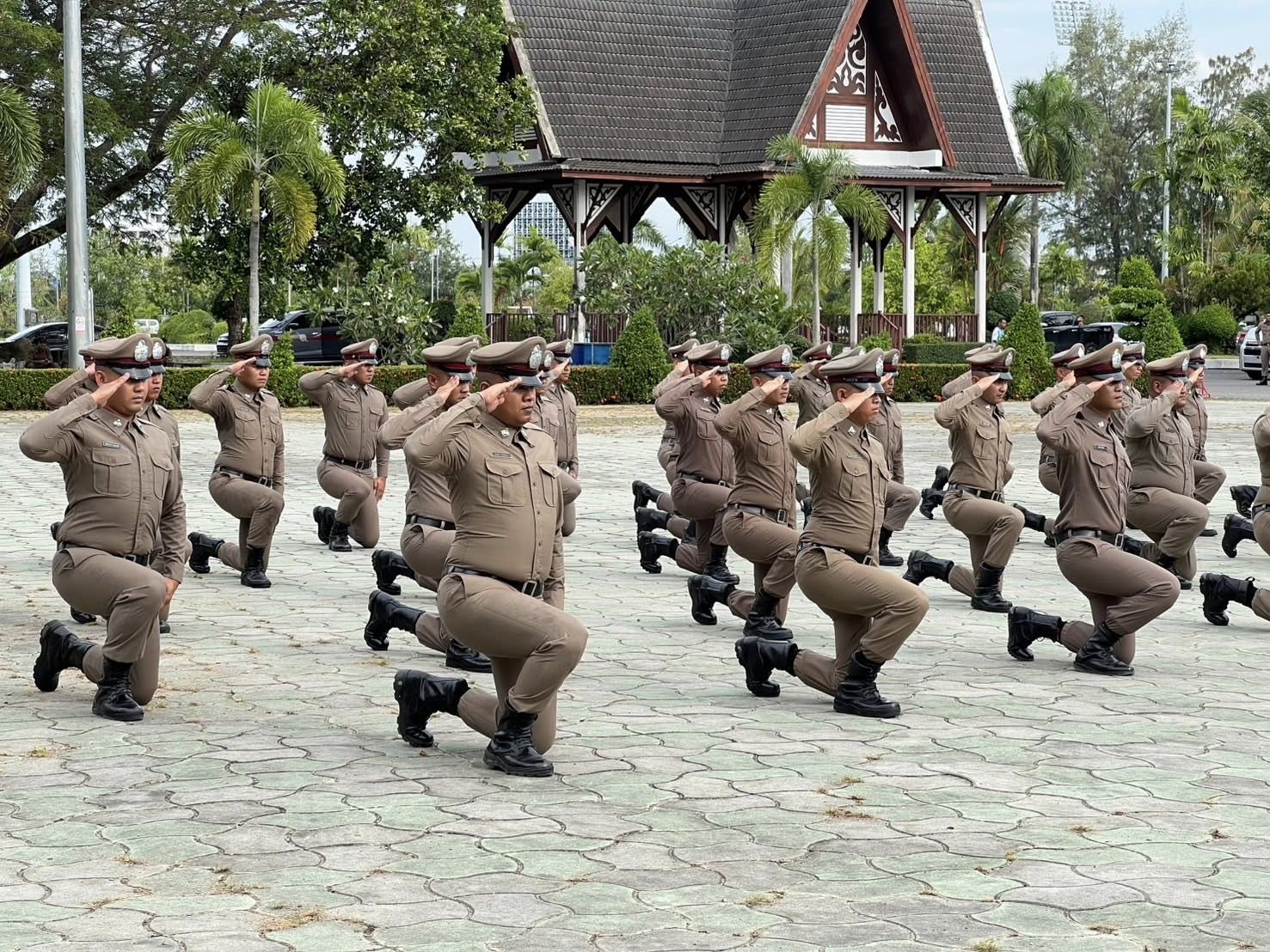 515439126_1046713344305140_8239125799953383929_n