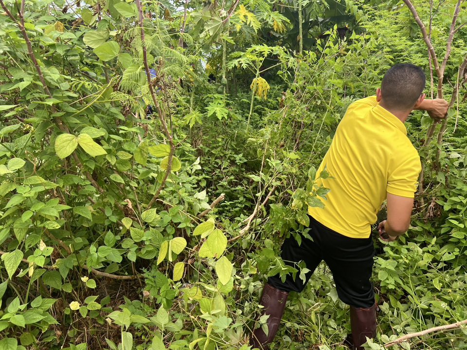 532399726_1081004890875985_3746650180284417286_n