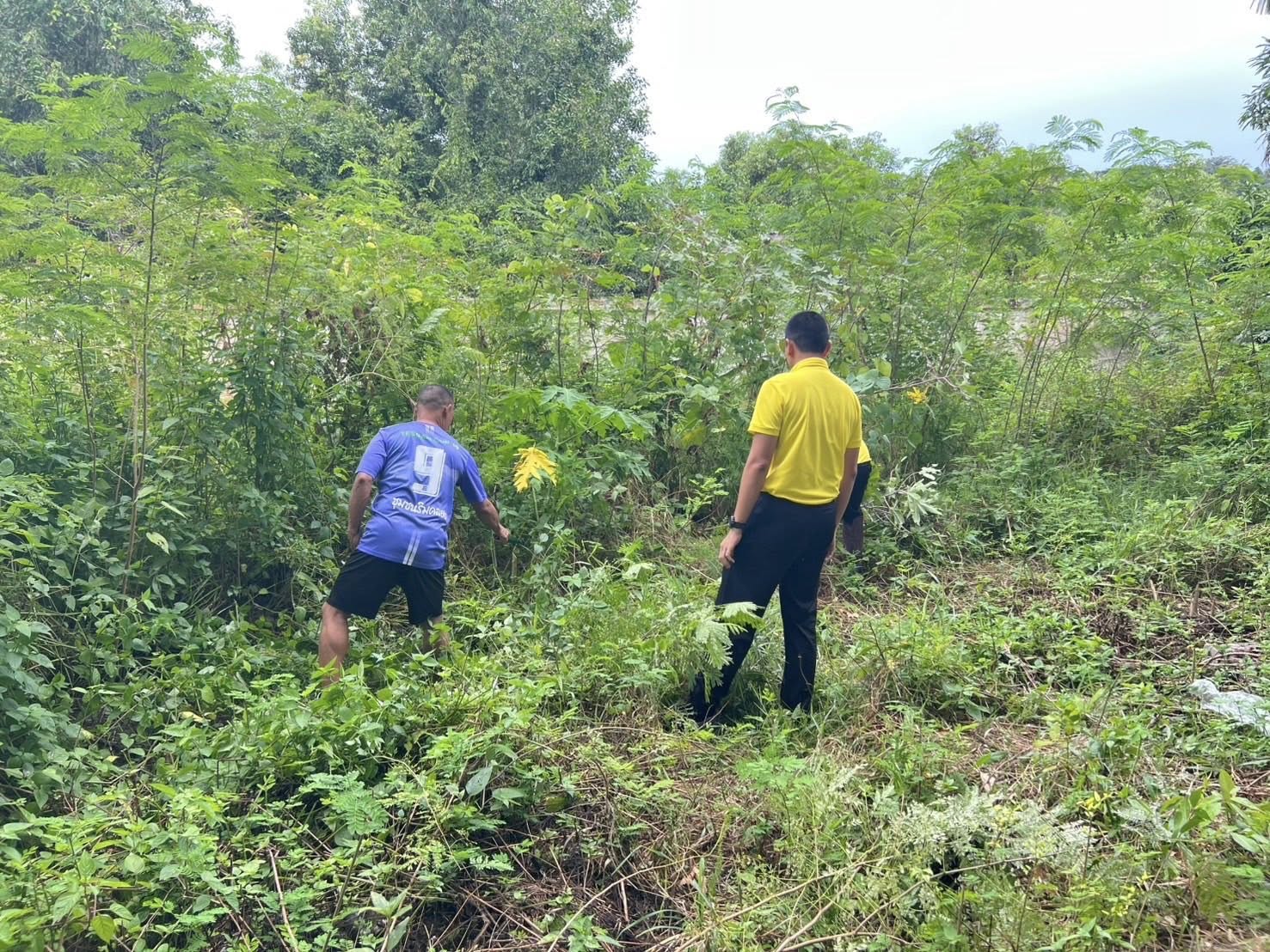 532926388_1081005737542567_5377285892468609546_n