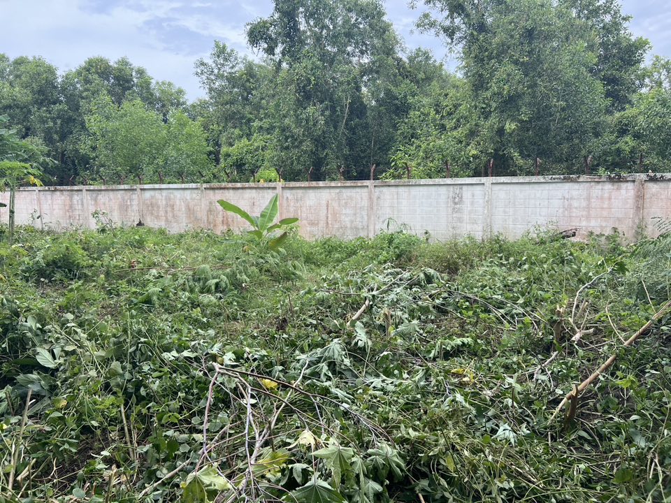 532927414_1081005090875965_8507383732761635814_n