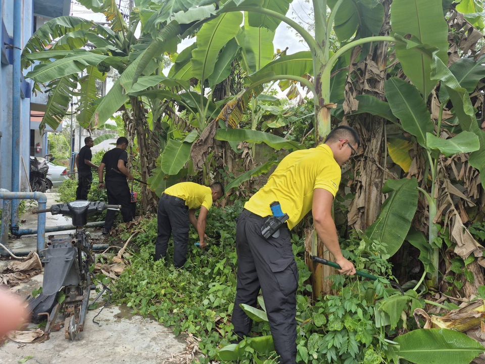 532981124_1081005187542622_773287400976474579_n