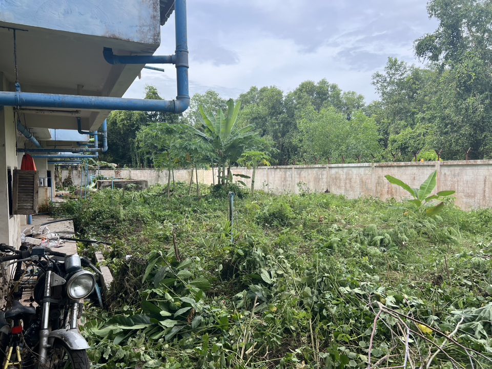 533383909_1081004974209310_2419117811684841907_n