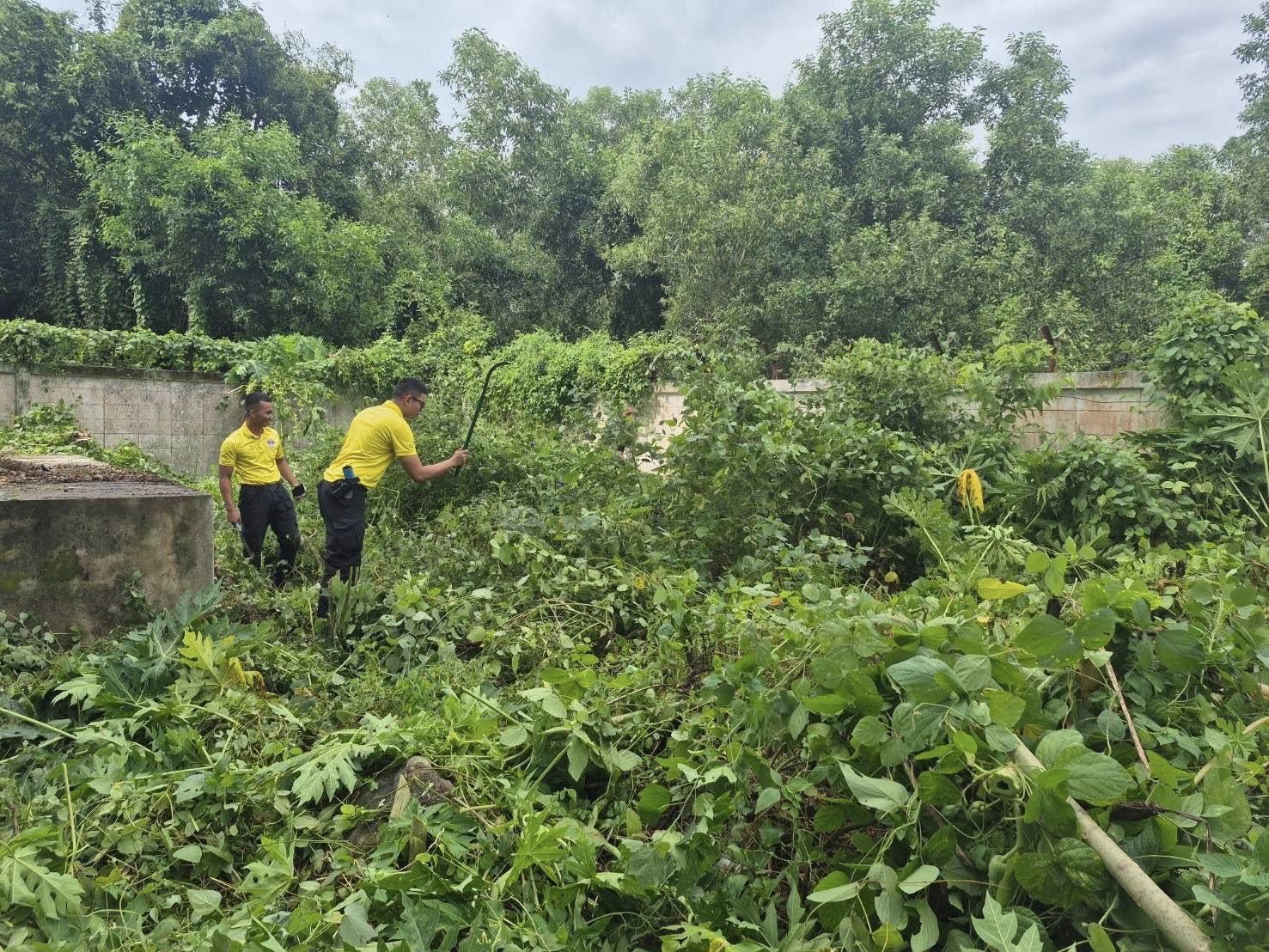 533447907_1081005744209233_7391918267613481512_n