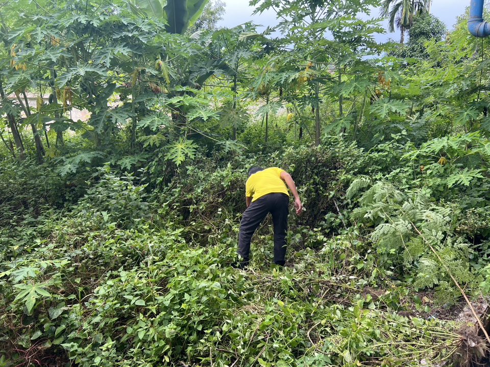 533803986_1081005114209296_2886787153121344447_n