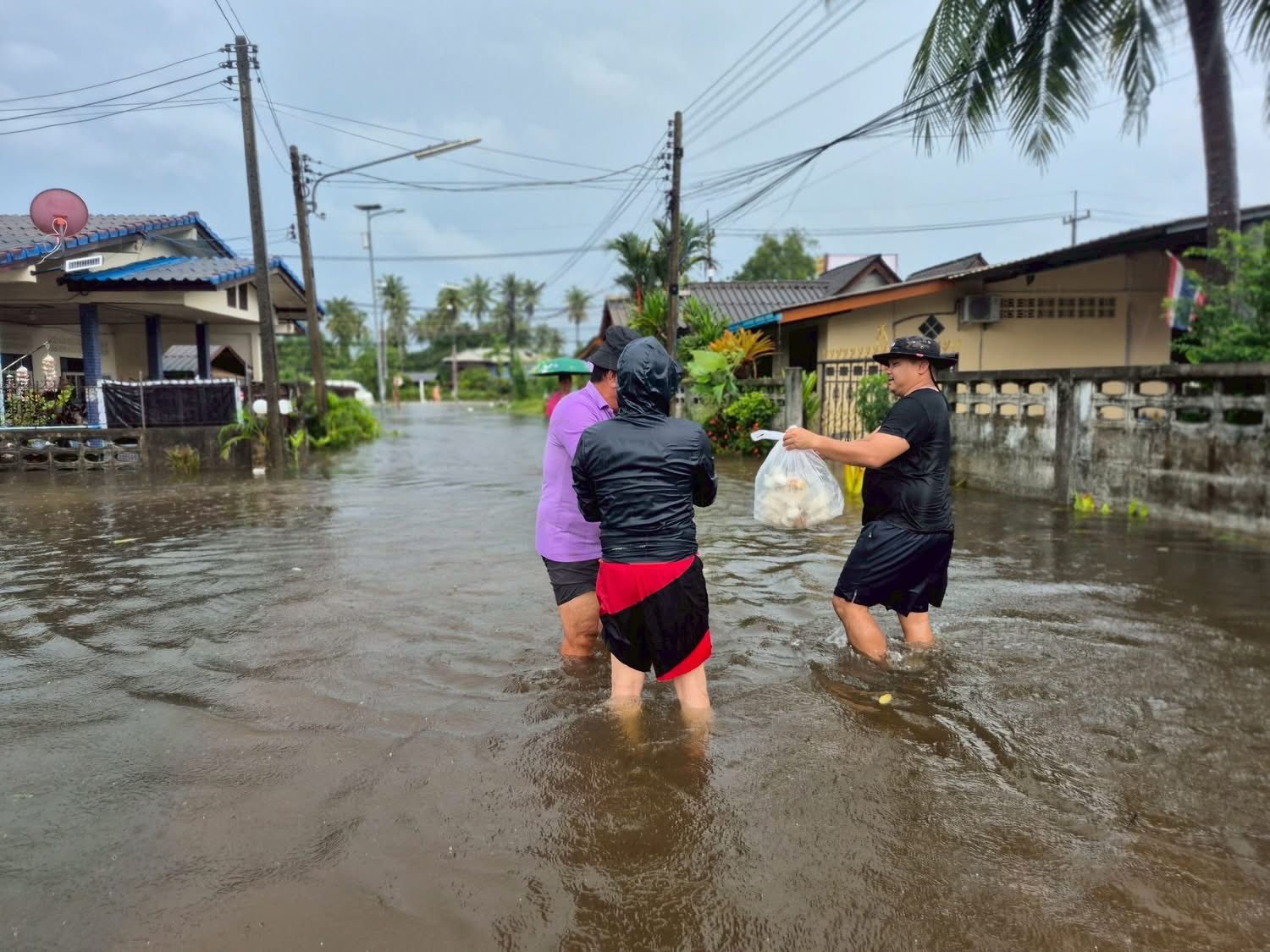 589037587_1163956182580855_5510321502536291056_n