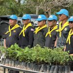 S__8241356